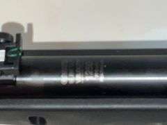 Gamo Silent Cat air rifle