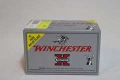 Winchester 12 gauge, HP slugs