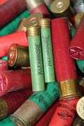 Shotgun shells, mostly 12 gauge