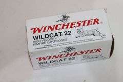 Winchester Wildcat .22