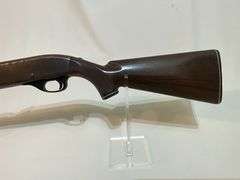 Remington .22 LR Nylon 66 rifle