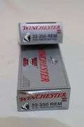 Winchester 22-250 REM, 55 gr.