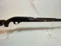 Remington .22 LR Nylon 66 rifle