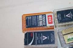 Assortment of .22 Mag ammunition