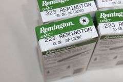 Remington .223, 55 gr.