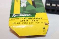 Remington .243 WIN, 100 gr.