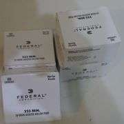 Federal .223 REM ammunition, 50 gr. JHP