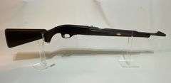 Remington .22 LR Nylon 66 rifle