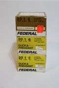 Federal 20 gauge, 2 3/4" No. 6 shot