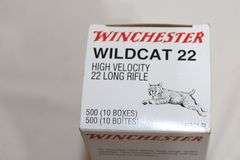 Winchester Wildcat .22