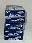 Independence 5.56 x 45 MM , 55 grain