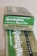 Remington 22-250 Remington, 50 gr.