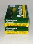 Remington 30-06, 165 grain