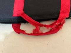 Allen Ruger 10/22 padded gun case