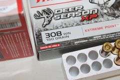 Winchester 308, 150 gr., 13 rounds