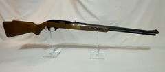 Glenfield Model 60 .22 long rifle only