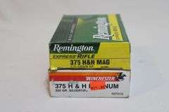 Remington 375 H&H Mag, 270 grain, 12 rounds