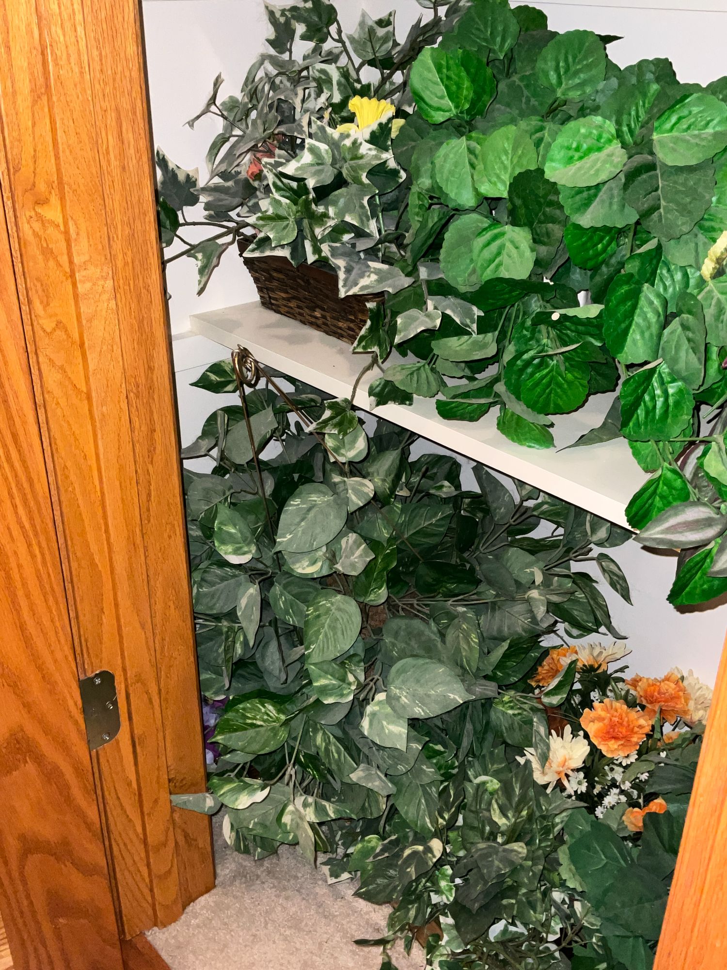 Lot image 3
