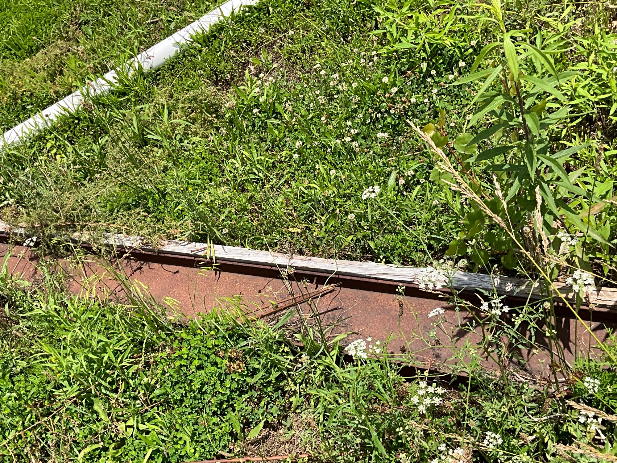 Lot image 4