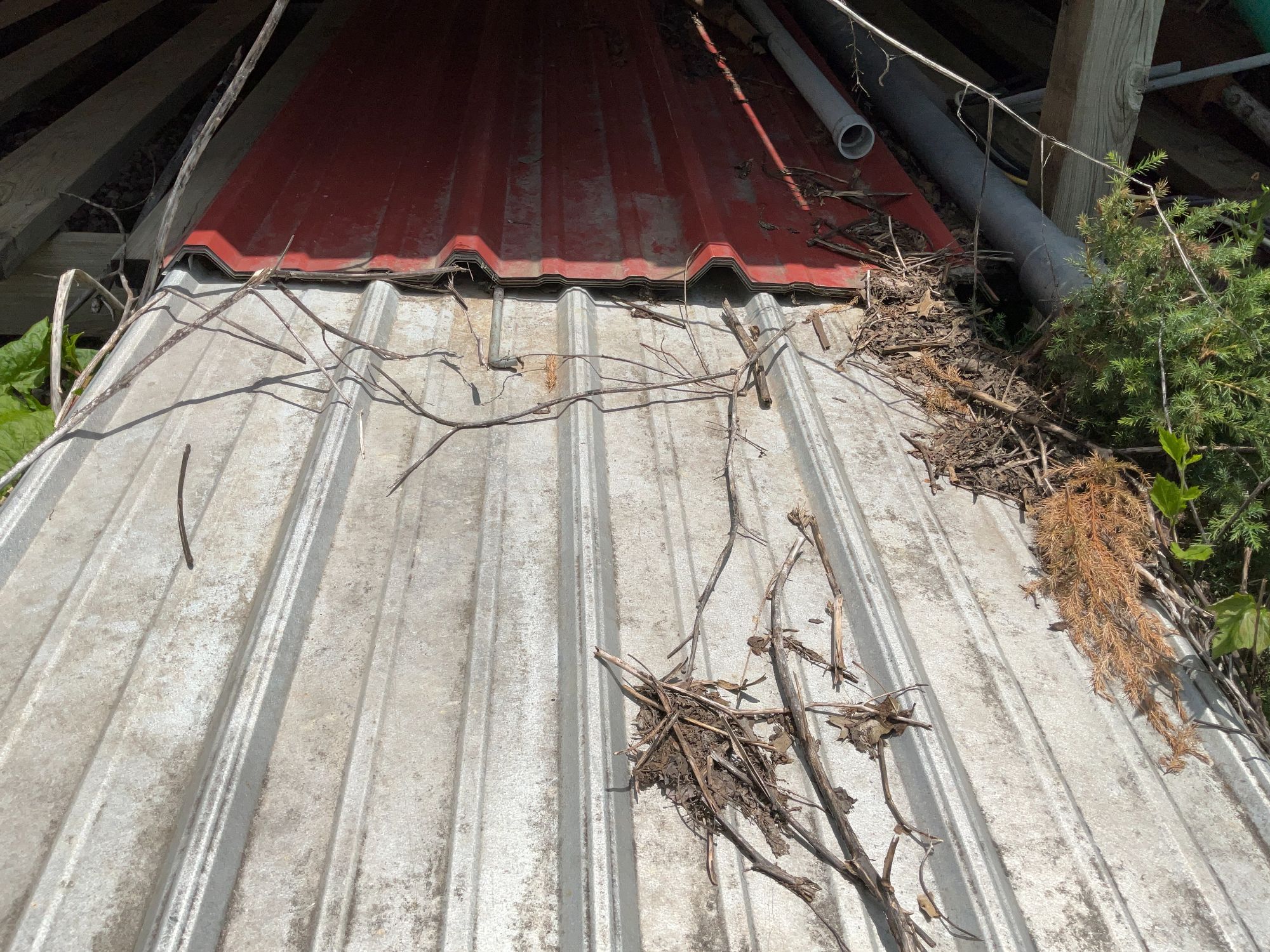 Lot image 7