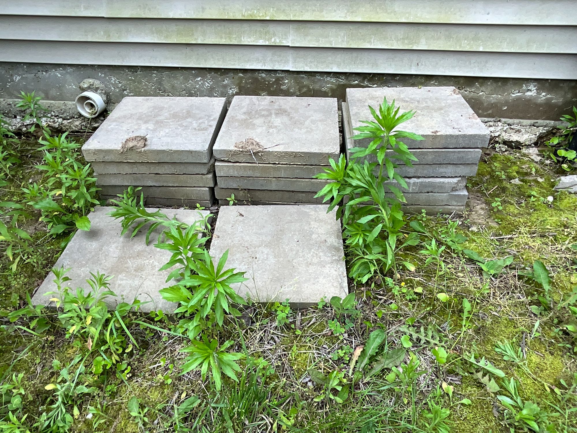 Lot image 1