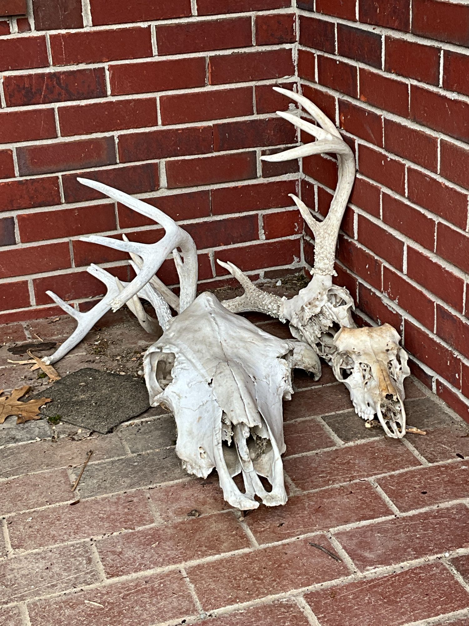 Lot image 1