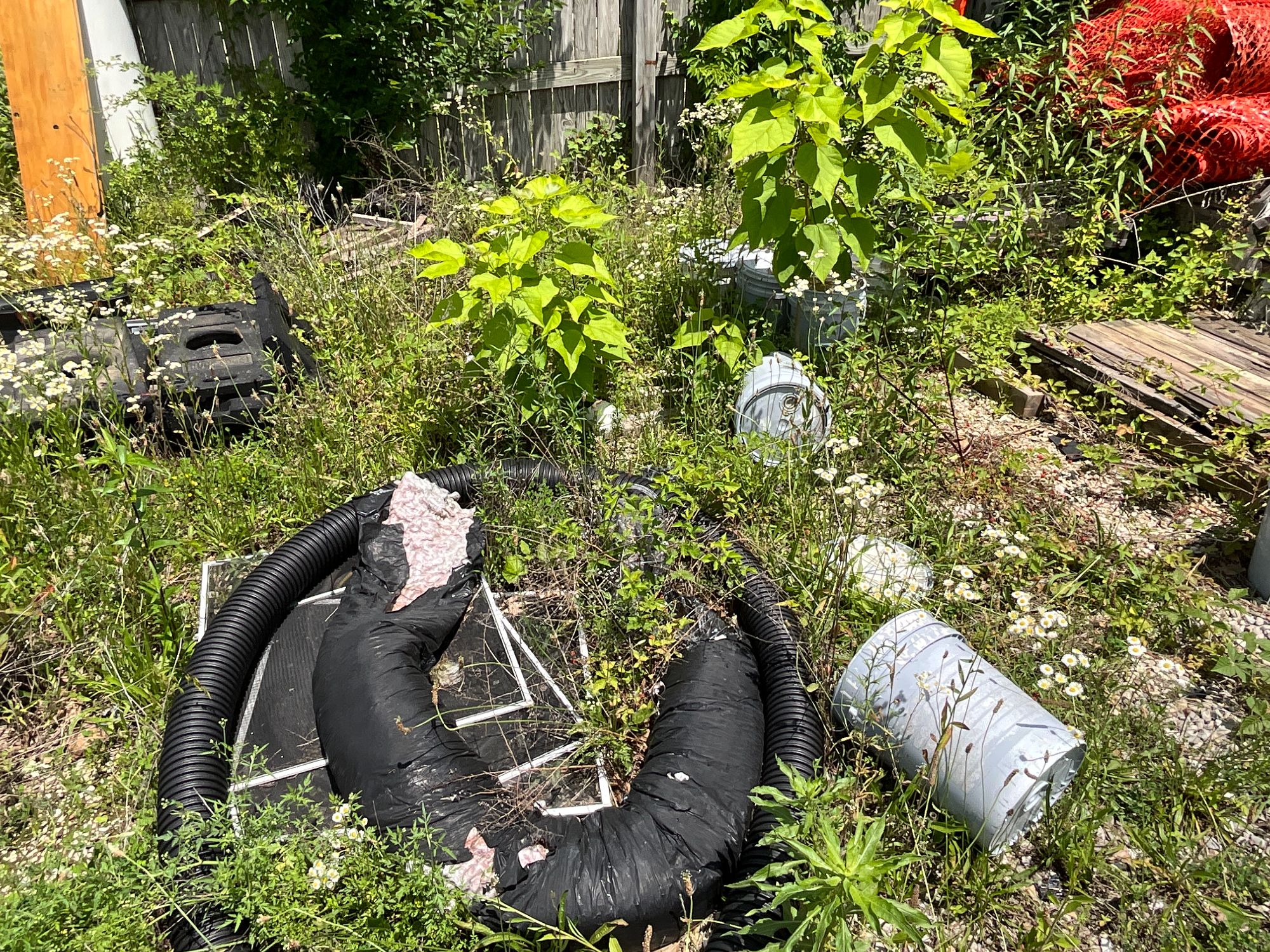 Lot image 6