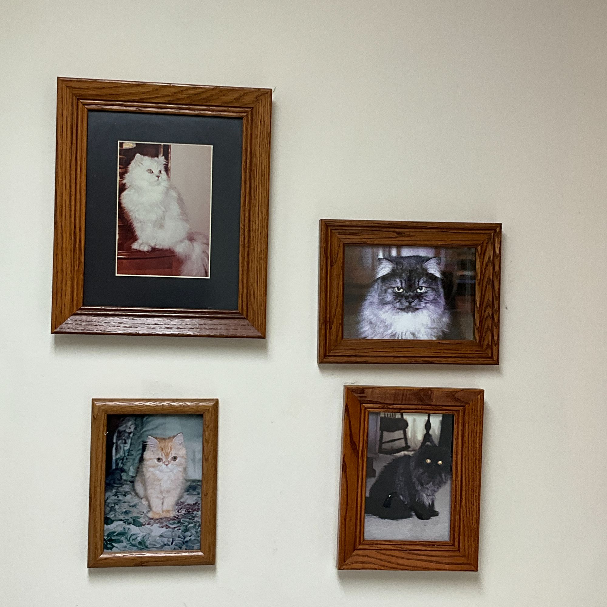 Lot image 5