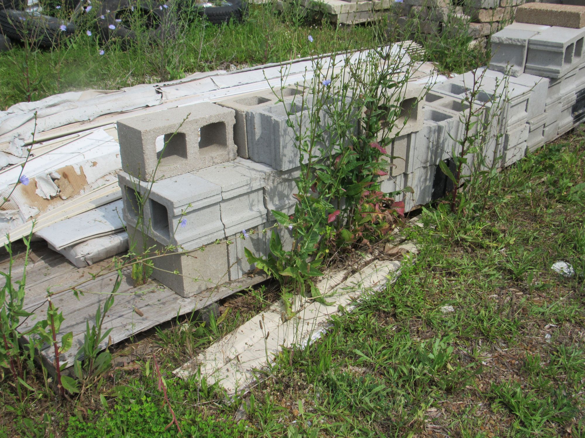 Lot image 4