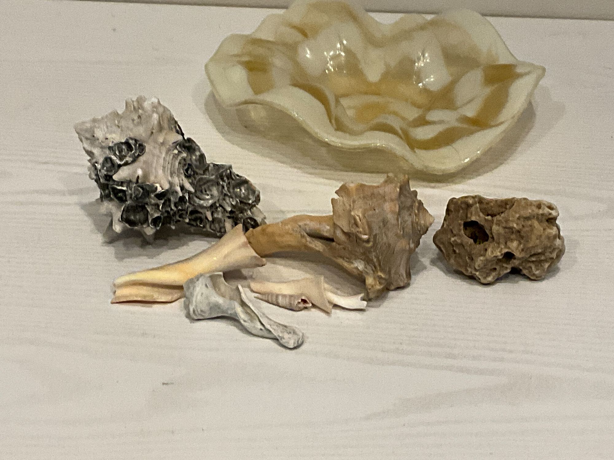 Lot image 1