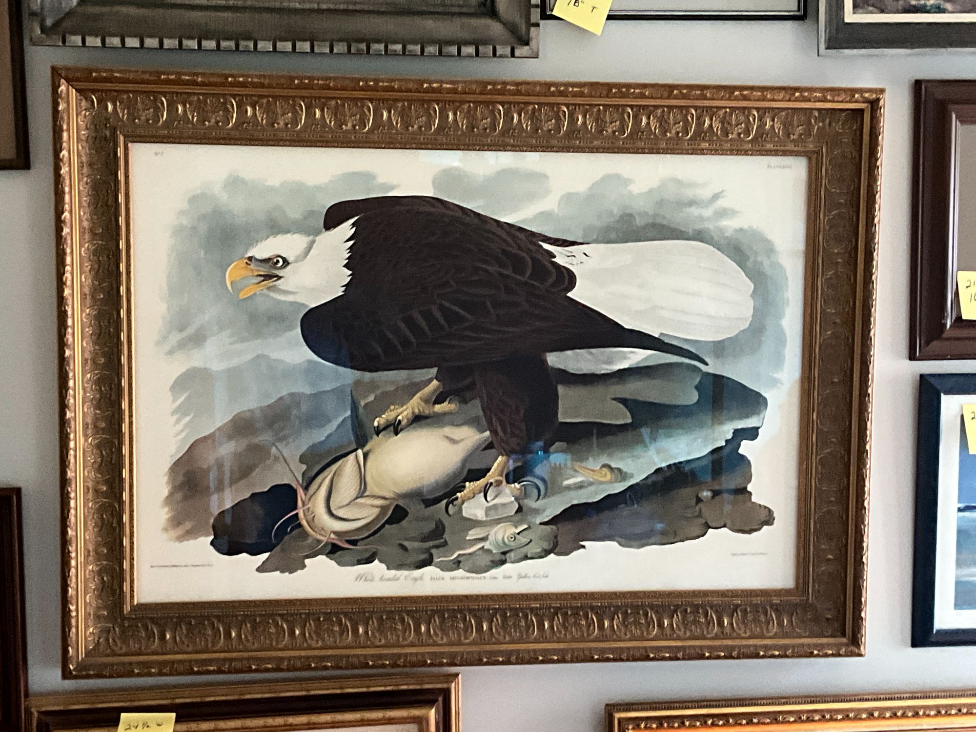 Lot image 1