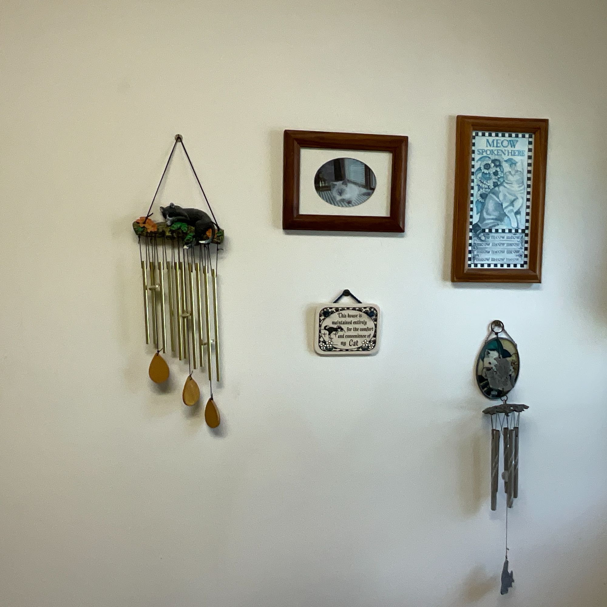 Lot image 6