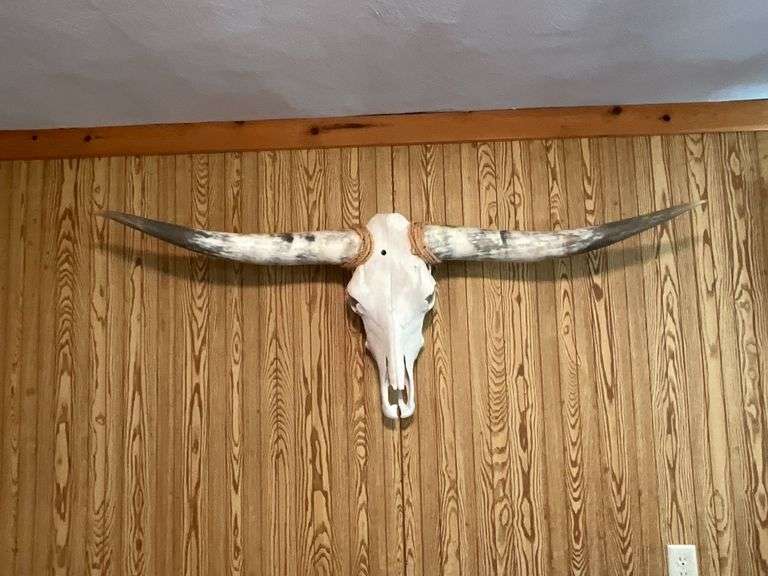 Long horn skull image