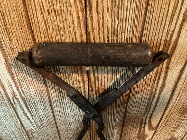 Ice tongs
