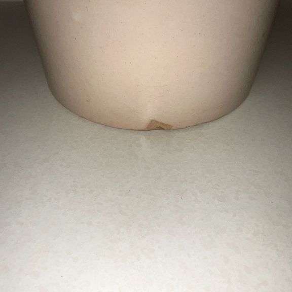 Crock, 7 1/2" T
