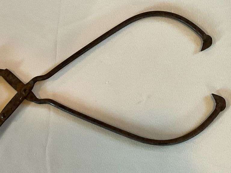 Ice tongs