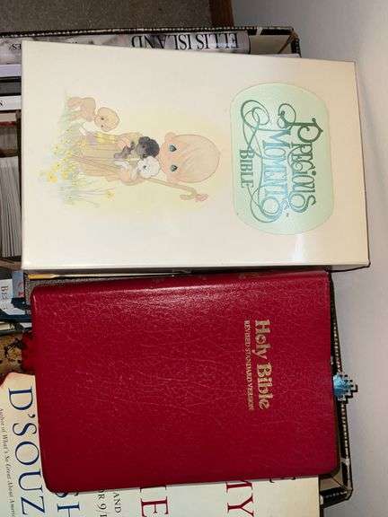 Assortment of books, Italian, dictionary, genealogy books, Holy Bible