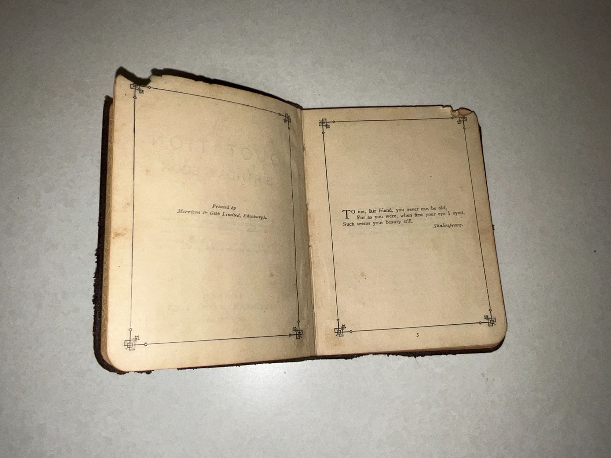 Lot image 6