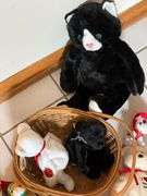 Ty Beanie Babies, The Beanie Baby Handbook
