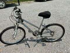 Raleigh Eva 2.0 women's 7-speed bike, need tires