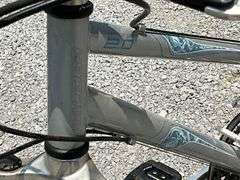 Raleigh Eva 2.0 women's 7-speed bike, need tires