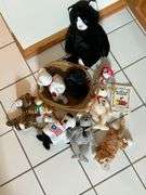 Ty Beanie Babies, The Beanie Baby Handbook
