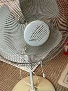 Lakso 16" pedestal fan, working condition