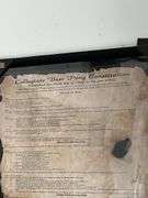Framed Collegiate Beer Pong Constitution