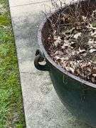 Cast iron kettle, has drain holes, 29" W