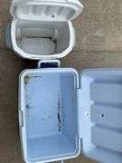 Rubbermaid and Coleman coolers