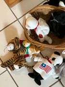 Ty Beanie Babies, The Beanie Baby Handbook