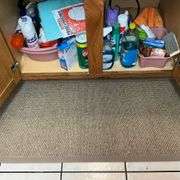 Cleaning supplies, rug