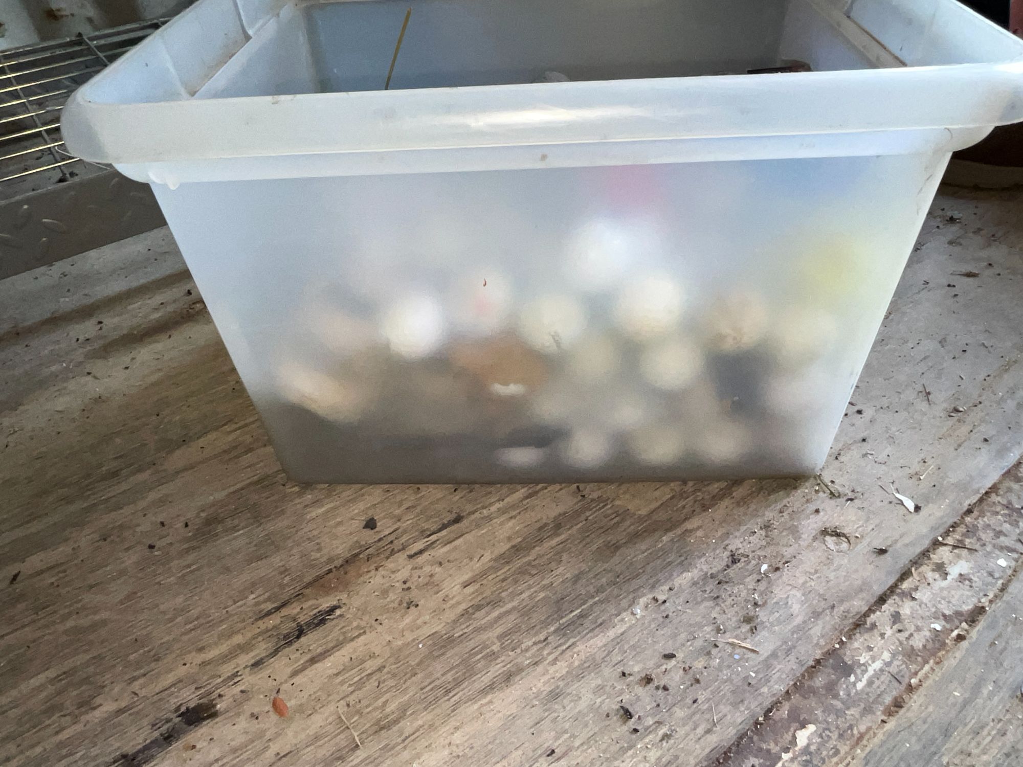 Lot image 2