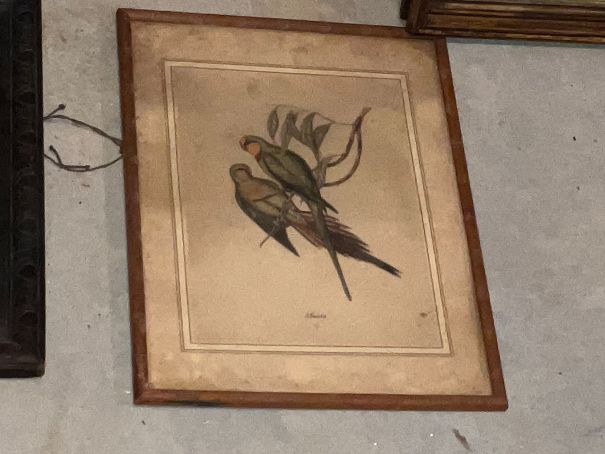 Lot image 5